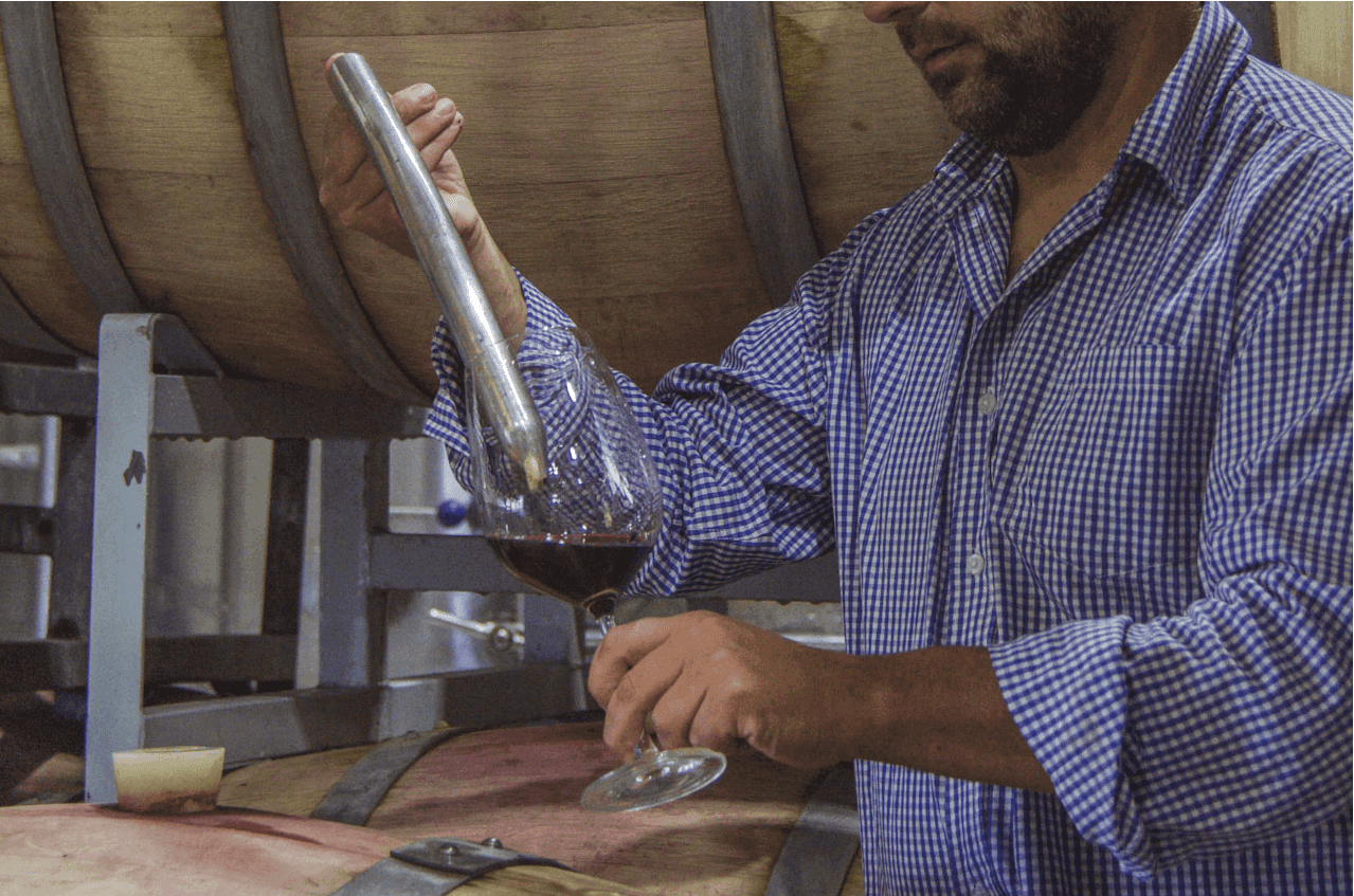 Degustación de vino directamente de la barrica
