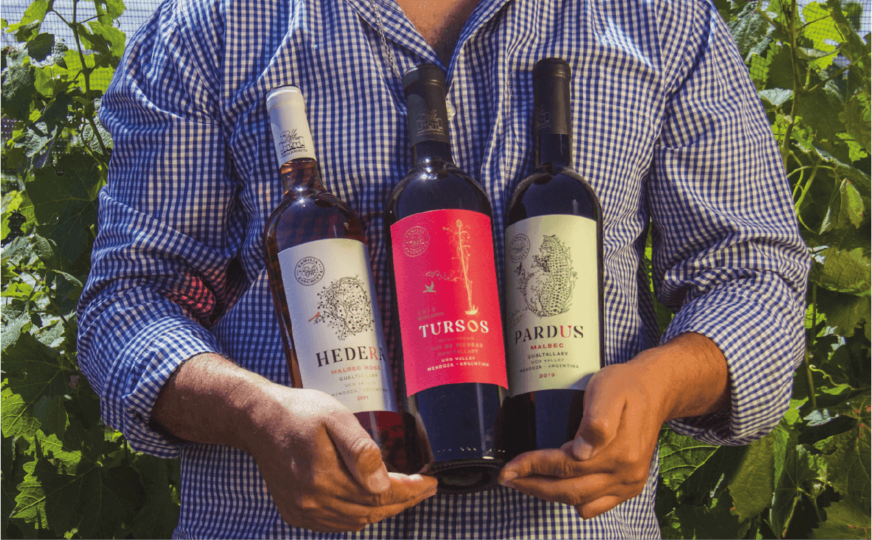 Philippe Zanchetta sosteniendo botellas de Hedera, Tursos y Pardus entre los viñedos