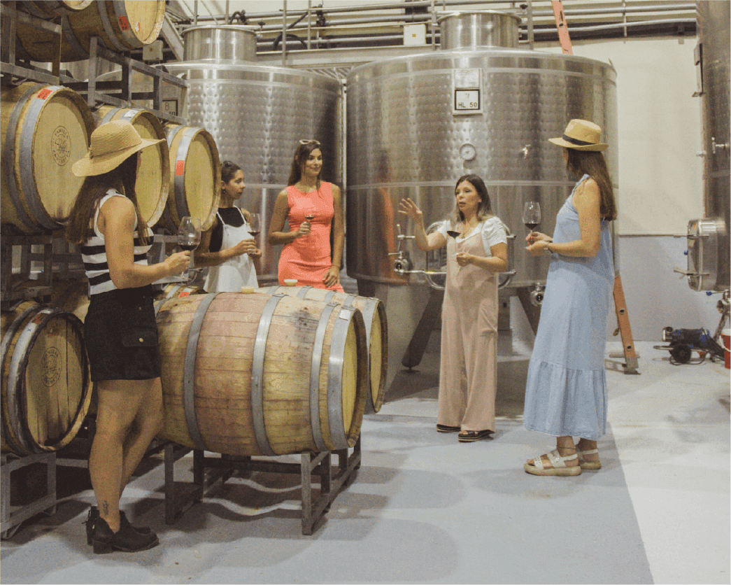Visitantes degustando vino junto a las barricas en la bodega